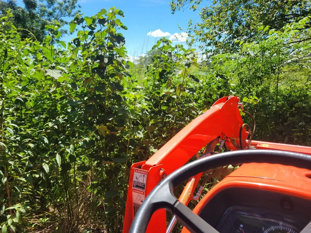 Reliable landscape design for homes across Lithia, FL - Outdoor Accommodations