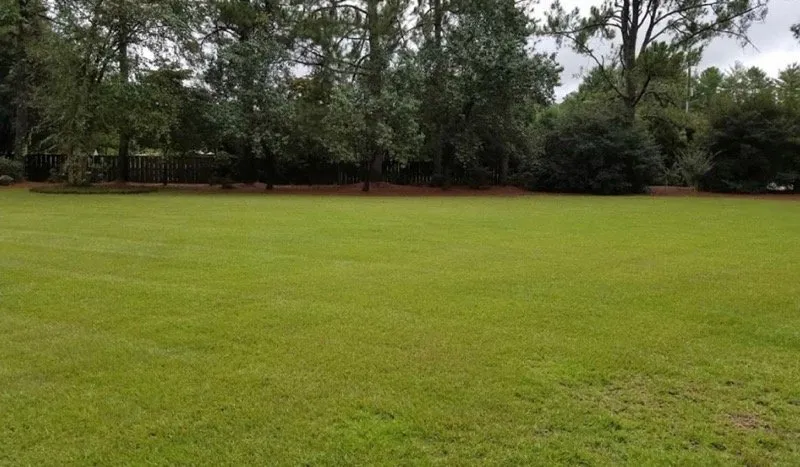 Reliable residential landscaping for outdoor upgrades across Fayetteville, NC - Outdoor Advantage