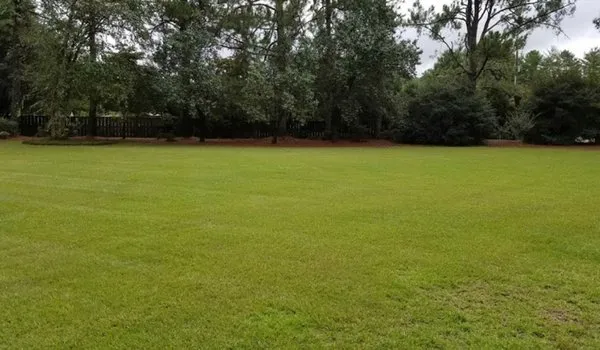 Outdoor Advantage Logo