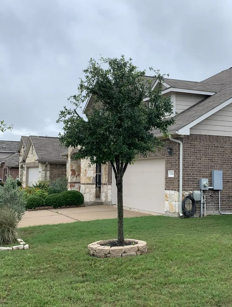 Trusted lawn care service in Austin, TX - Outdoor Appeal