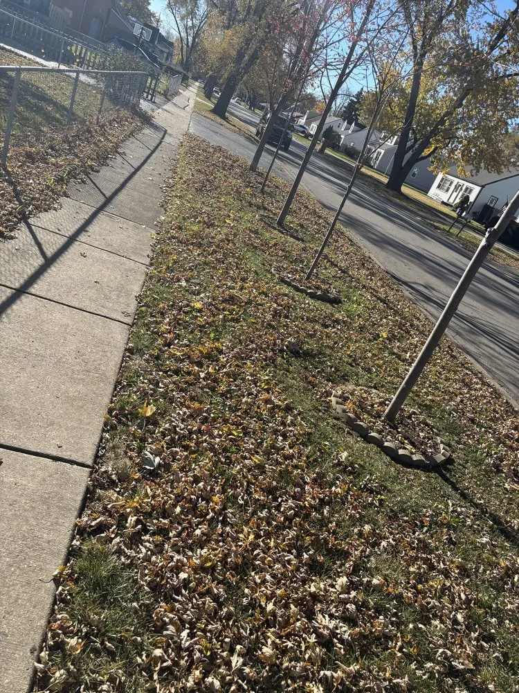 Top-rated outdoor landscaping experts serving Chicago, IL - OUTDOOR ART LANDSCAPE & CONSTRUCTION