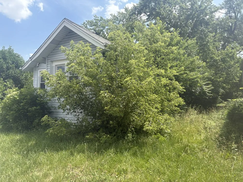 Top-rated lawn mowing service in Chicago, IL by OUTDOOR ART LANDSCAPE & CONSTRUCTION