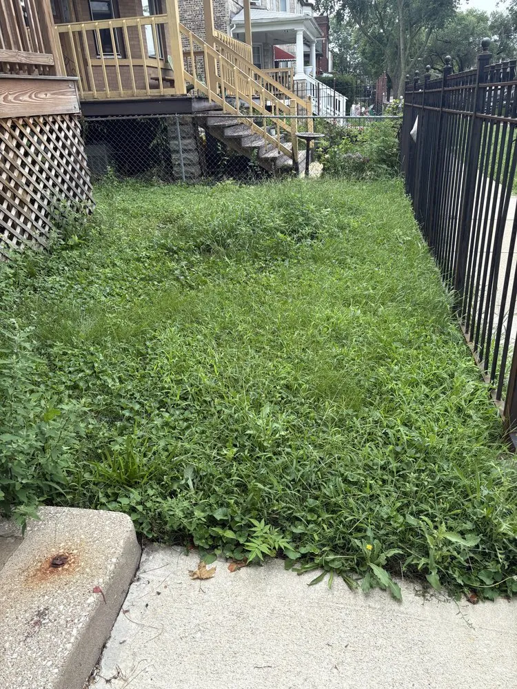 Reliable garden landscaping in Chicago, IL - OUTDOOR ART LANDSCAPE & CONSTRUCTION