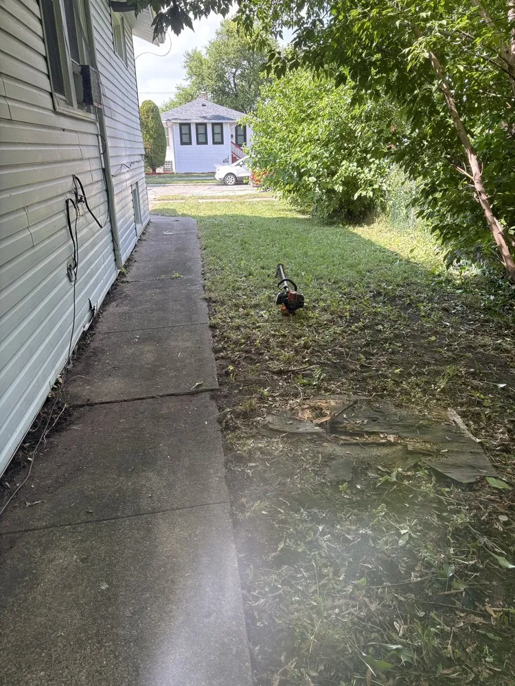 Affordable landscape design in Chicago, IL by OUTDOOR ART LANDSCAPE & CONSTRUCTION