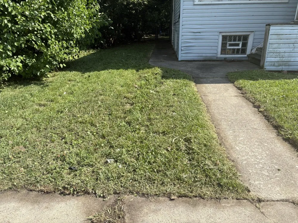 Expert landscape design in Chicago, IL - OUTDOOR ART LANDSCAPE & CONSTRUCTION