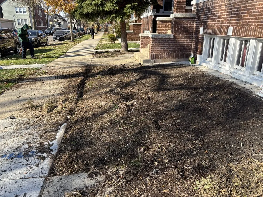 Expert yard cleanup service for homes across Chicago, IL - OUTDOOR ART LANDSCAPE & CONSTRUCTION