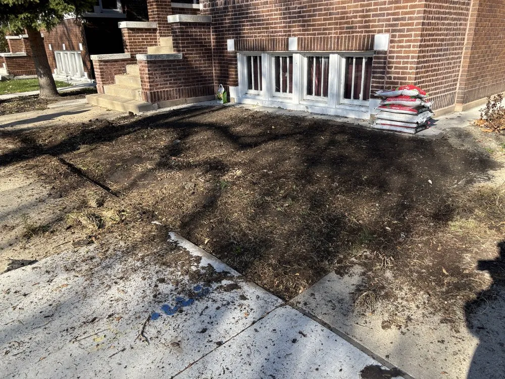 Professional yard cleanup service experts serving Chicago, IL - OUTDOOR ART LANDSCAPE & CONSTRUCTION