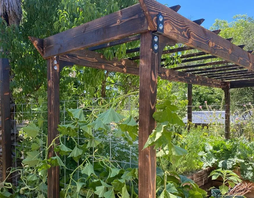 Top-rated yard maintenance experts serving Redding, CA - Outdoor Artisans