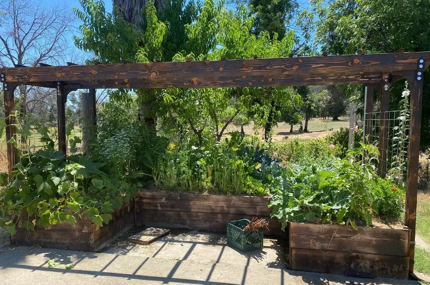 Reliable garden landscaping for year-round maintenance across Redding, CA - Outdoor Artisans