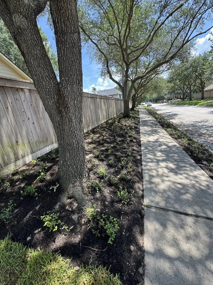 Local garden landscaping experts serving Humble, TX - Outdoor Buddies