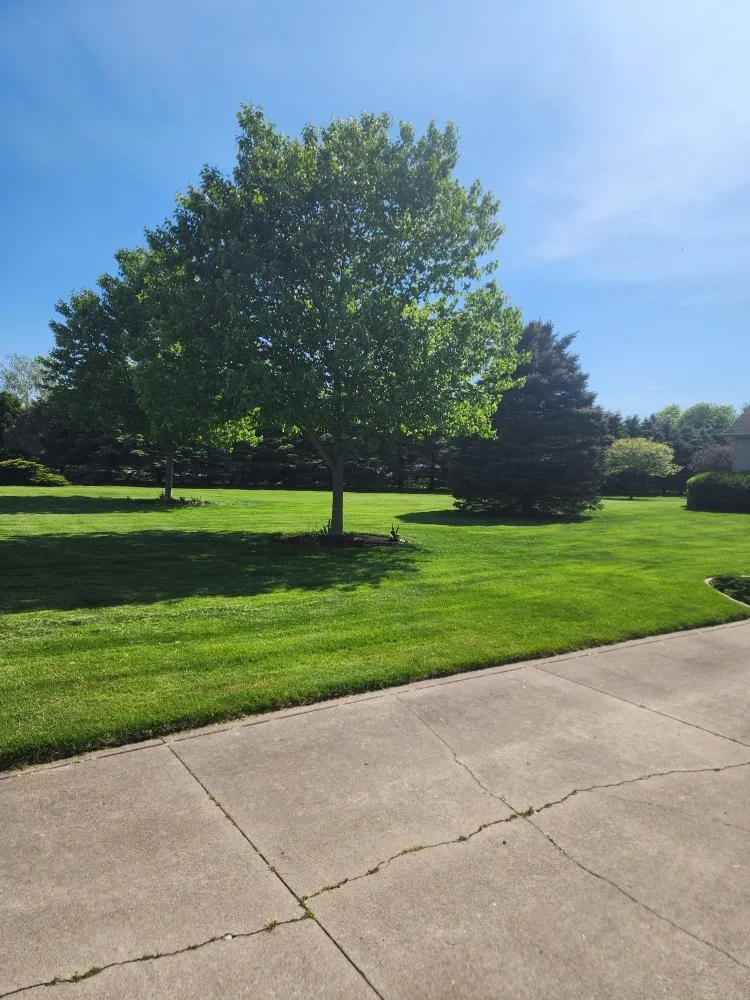Local yard cleanup service in South Bend, IN - Outdoor Care and Custom Creations