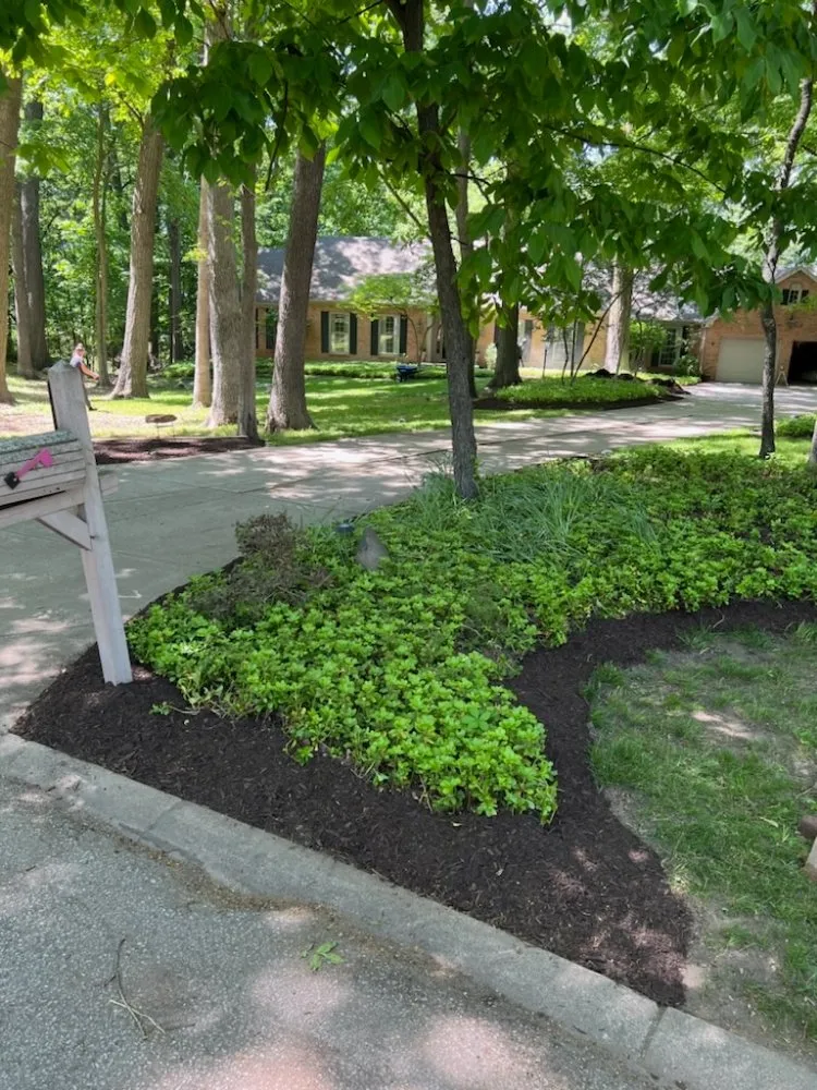 Reliable residential landscaping near you in South Bend, IN by Outdoor Care and Custom Creations