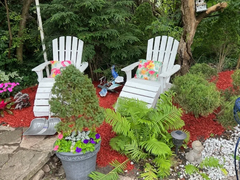 Professional yard cleanup service in South Bend, IN - Outdoor Care and Custom Creations