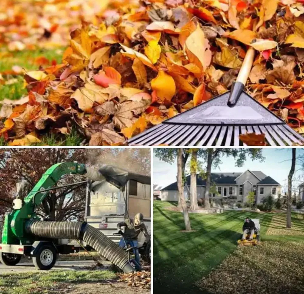 Expert lawn mowing service for year-round maintenance across Indianapolis, IN - Outdoor Care