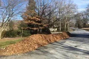 Affordable garden landscaping experts serving Indianapolis, IN - Outdoor Care