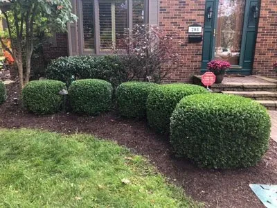Expert lawn care service in Indianapolis, IN by Outdoor Care