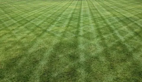 Top-rated lawn care service in Indianapolis, IN - Outdoor Care