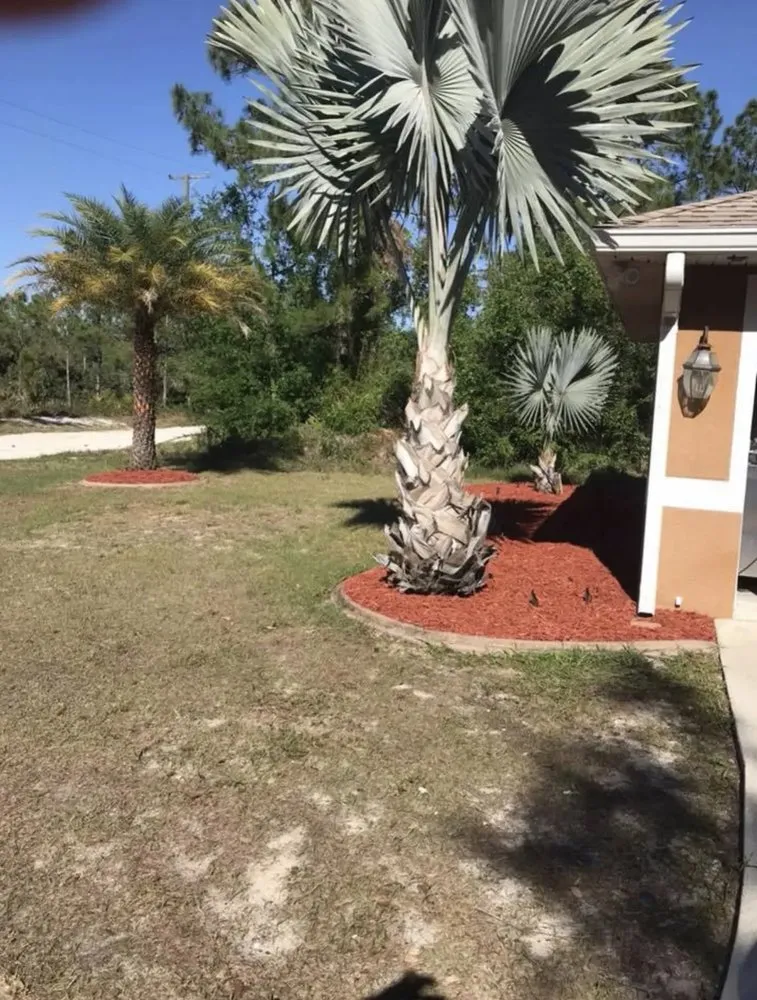 Custom lawn care service for homes across Sebring, FL - Outdoor Care