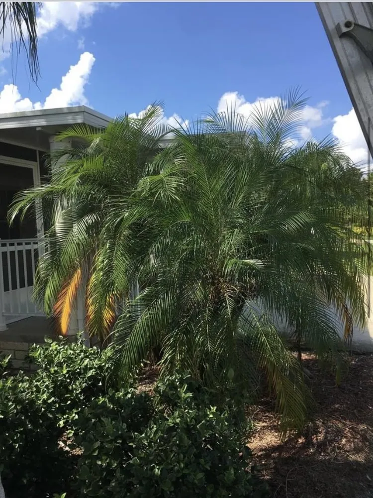 Trusted landscape design experts serving Sebring, FL - Outdoor Care