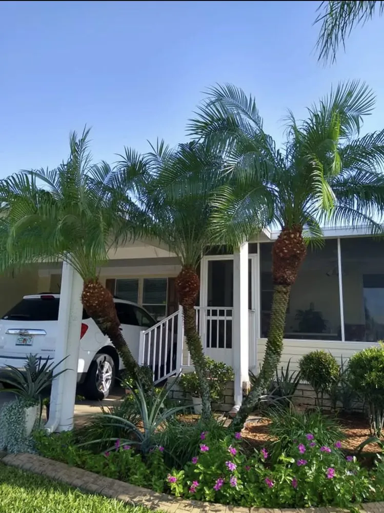 Local landscaping services in Sebring, FL by Outdoor Care