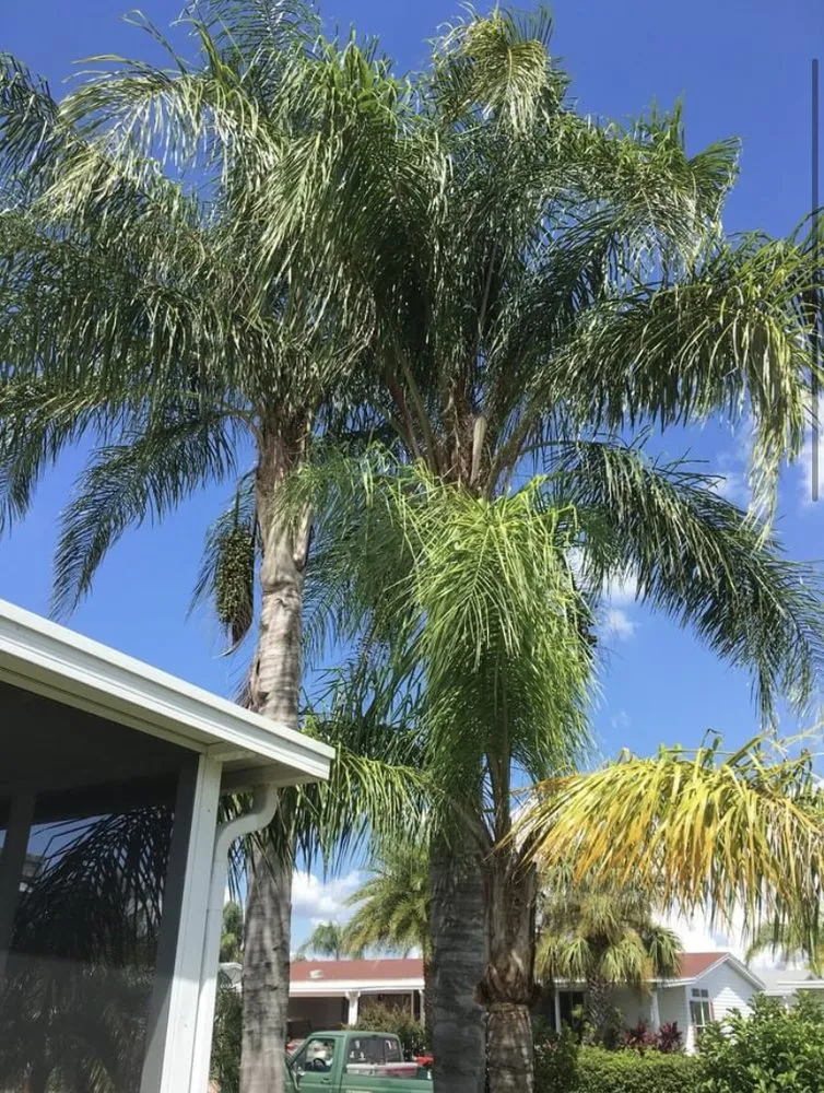 Professional lawn care service for year-round maintenance across Sebring, FL - Outdoor Care