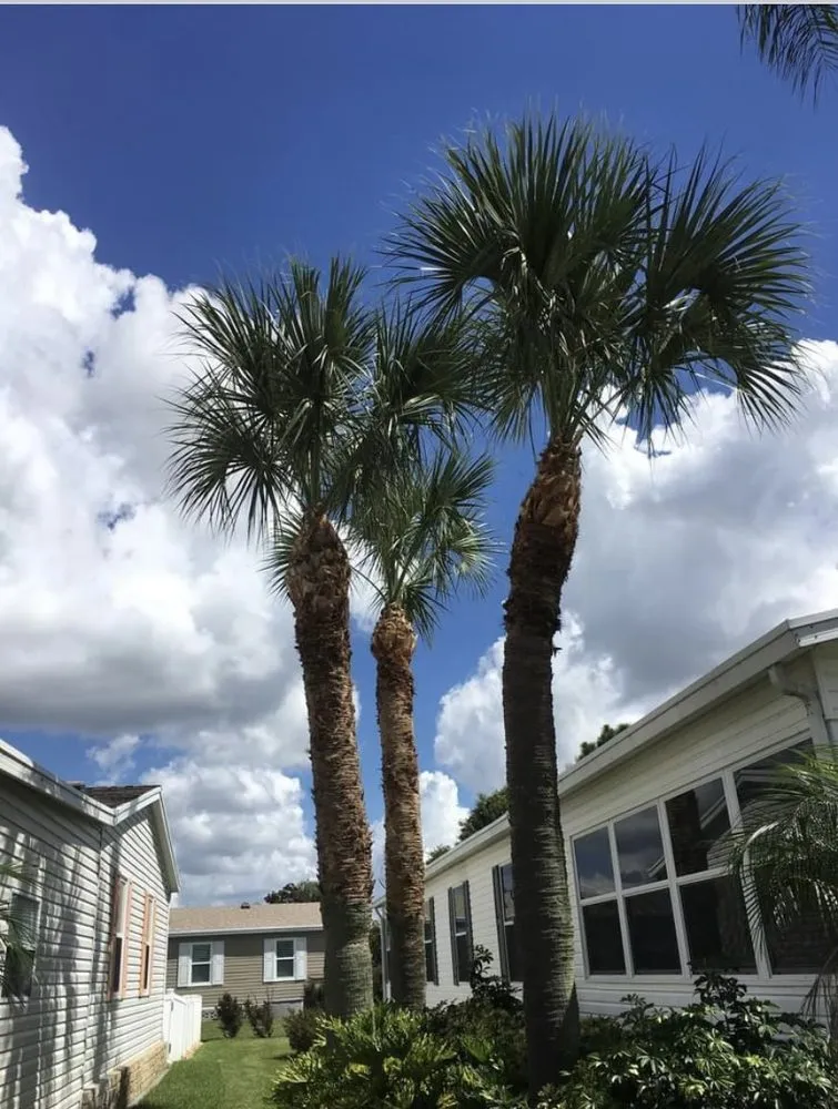 Expert lawn mowing service in Sebring, FL - Outdoor Care