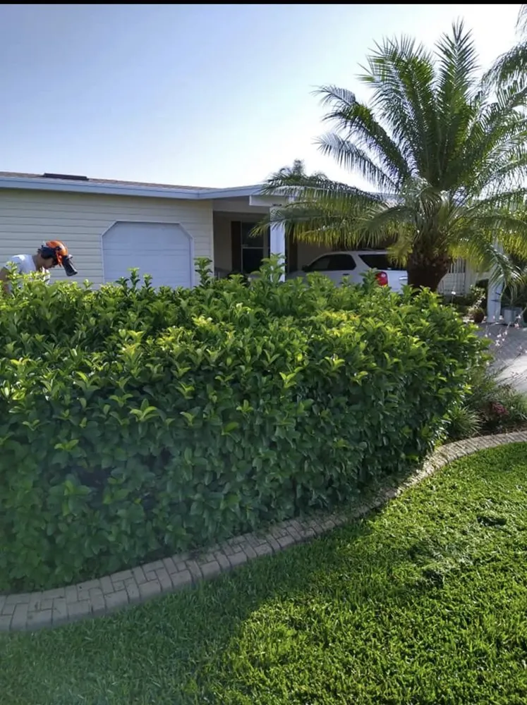 Expert yard cleanup service in Sebring, FL by Outdoor Care