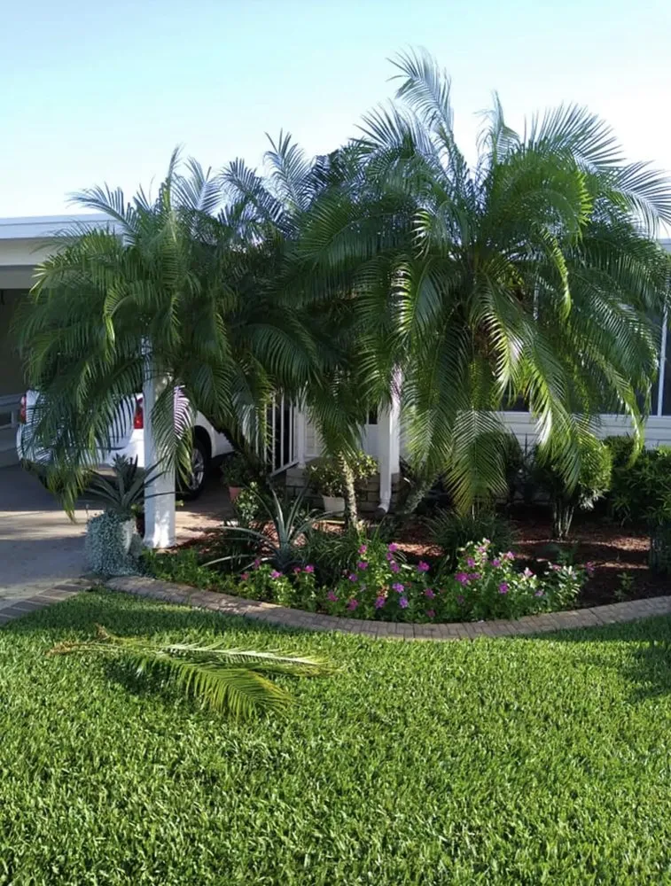 Affordable landscape installation in Sebring, FL - Outdoor Care