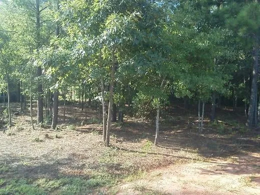 Custom garden landscaping experts serving Auburn, AL - Outdoor Concepts