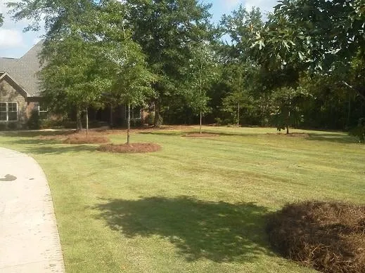 Trusted landscaping services in Auburn, AL - Outdoor Concepts