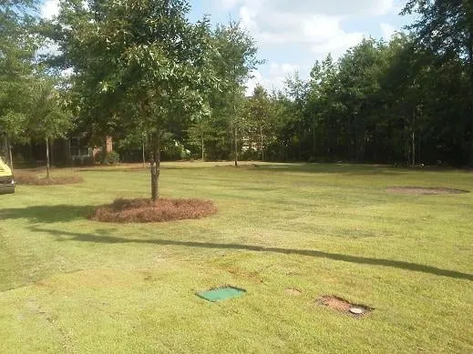 Affordable yard cleanup service for beautiful yards in Auburn, AL by Outdoor Concepts