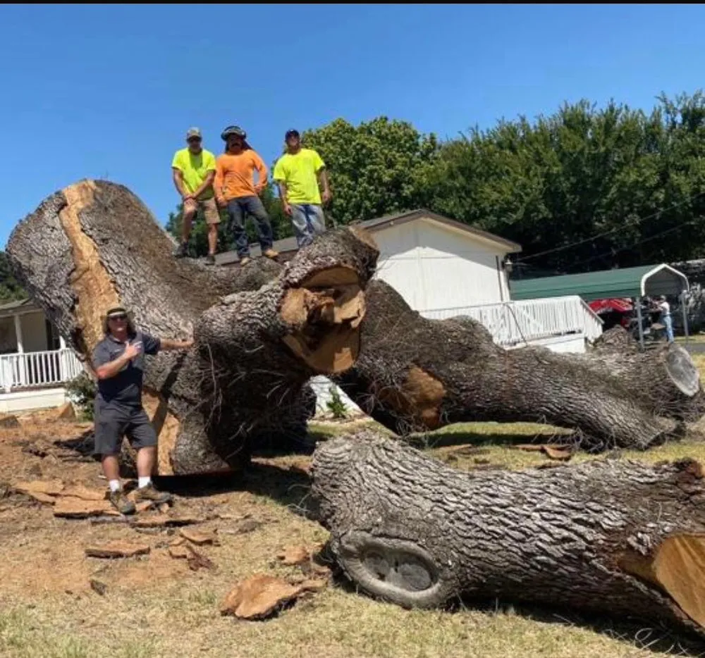 Reliable residential landscaping experts serving Merritt Island, FL - Outdoor Concepts