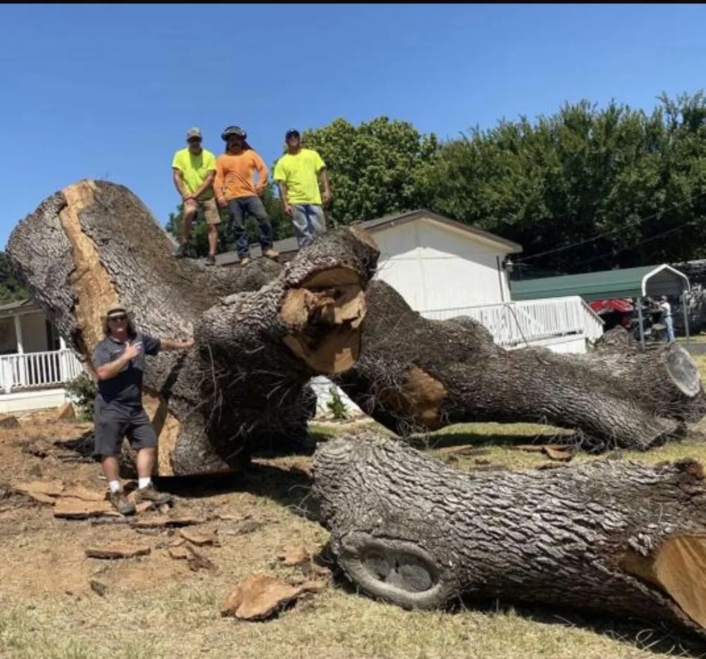 Professional landscaping services in Merritt Island, FL - Outdoor Concepts