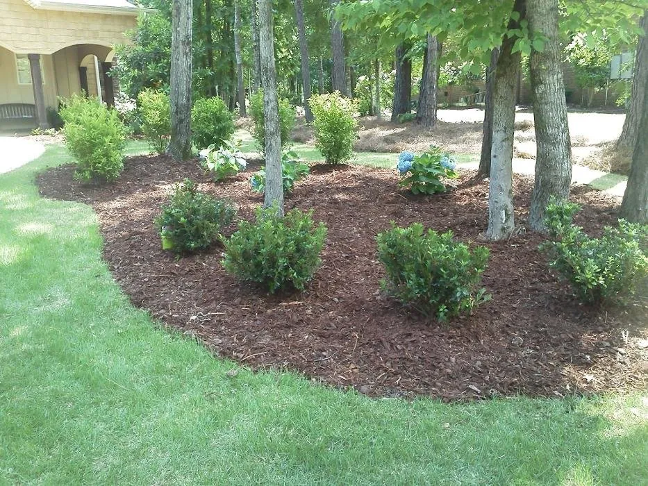Expert landscape design experts serving Opelika, AL - Outdoor Concepts