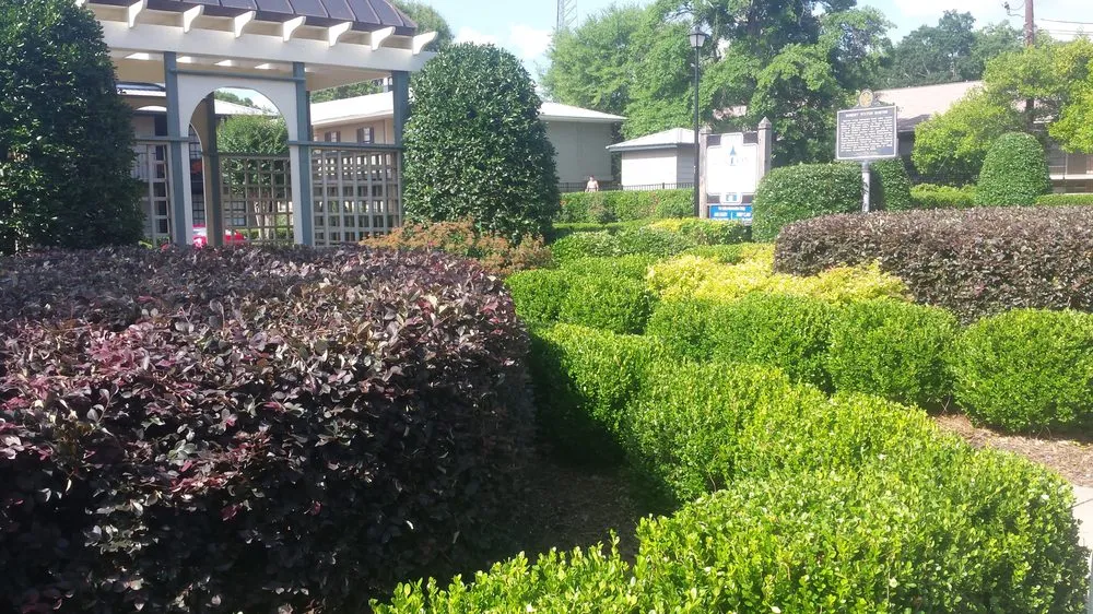 Reliable landscaping services in Auburn, AL by Outdoor Construction and Maintenance