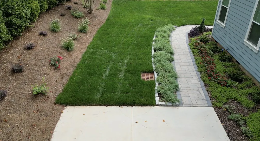 Professional yard cleanup service in Charlotte, NC - Outdoor Contracting
