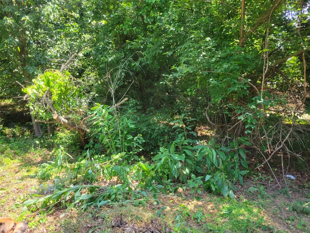 Trusted landscape design experts serving Waldorf, MD - Outdoor Creations Landscape Services