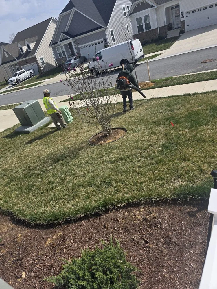 Affordable landscaping services for year-round maintenance in Waldorf, MD by Outdoor Creations Landscape Services