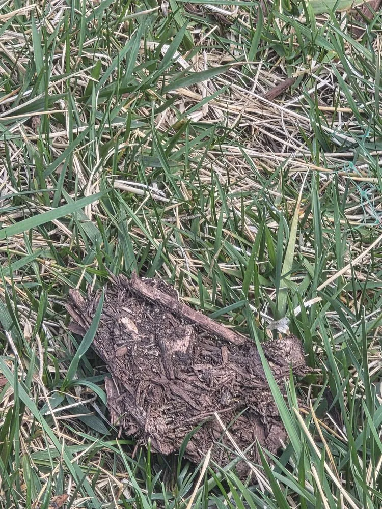 Trusted lawn mowing service in Waldorf, MD - Outdoor Creations Landscape Services