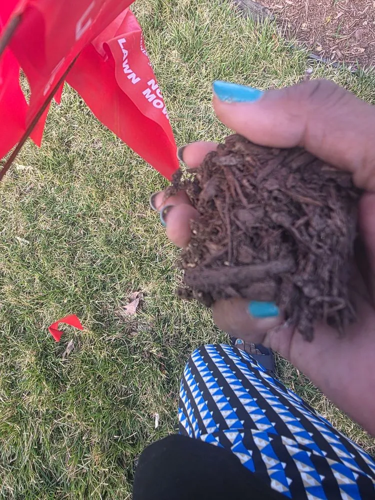 Professional residential landscaping in Waldorf, MD by Outdoor Creations Landscape Services