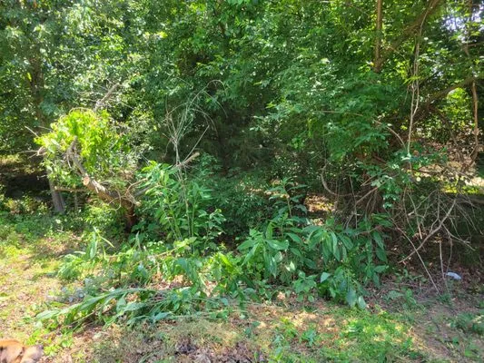 Outdoor Creations Landscape Services