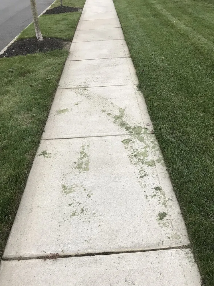 Affordable lawn care service with custom design in Erial, NJ by Outdoor Decor Landscaping