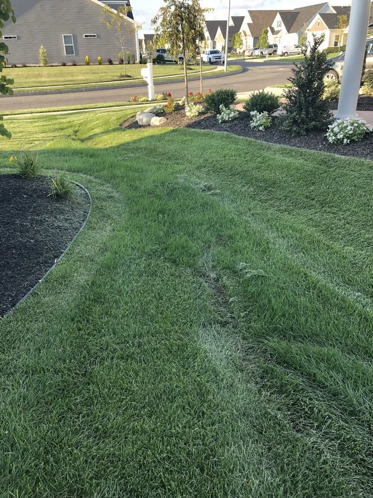 Expert yard cleanup service with custom design in Erial, NJ by Outdoor Decor Landscaping