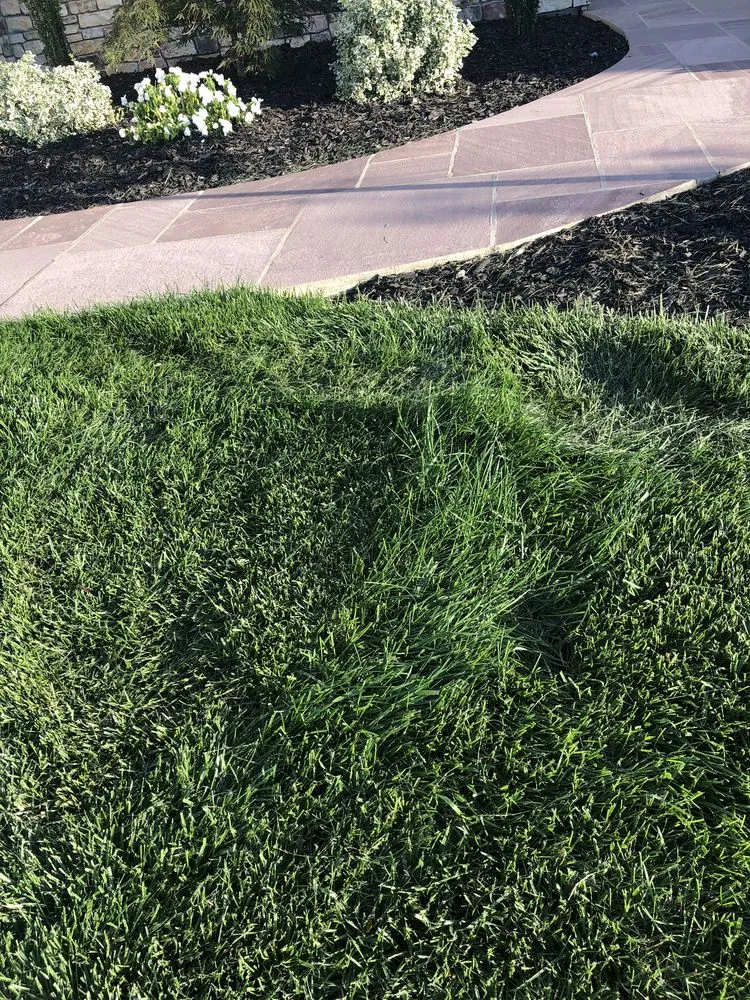 Affordable lawn mowing service for residential properties across Erial, NJ - Outdoor Decor Landscaping