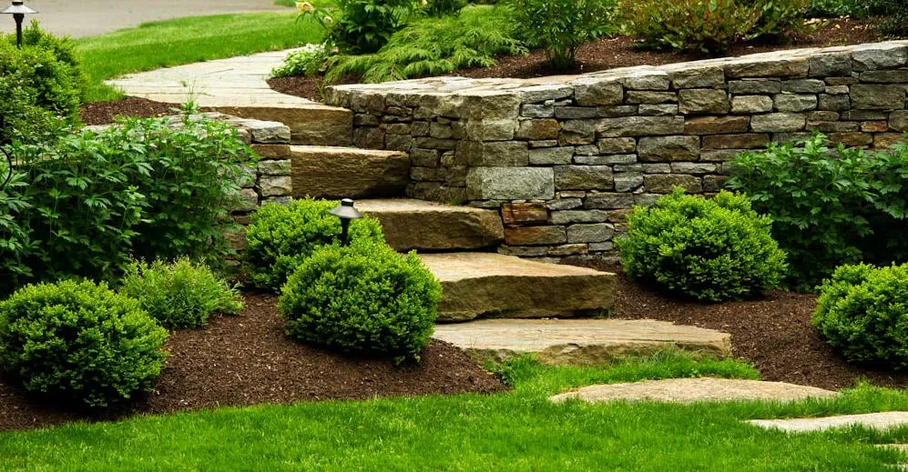 Professional lawn care service near you across Fairfield, CT - Outdoor Design and Living