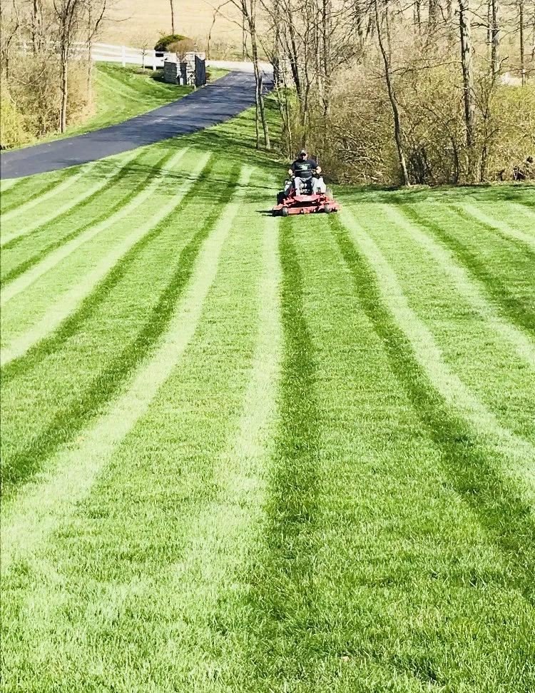 Affordable landscape design in Pleasant Plain, OH - Outdoor Designs