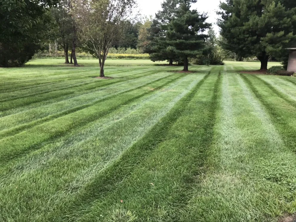 Reliable landscape installation for year-round maintenance in Pleasant Plain, OH by Outdoor Designs