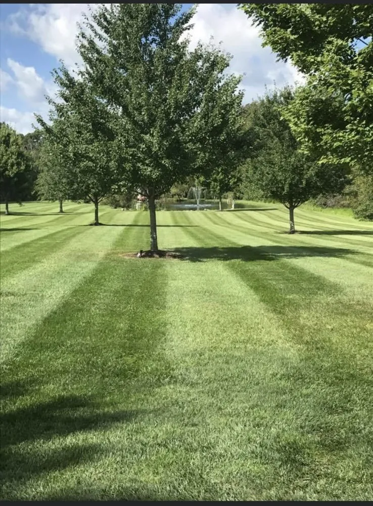 Local landscaping services for year-round maintenance in Pleasant Plain, OH by Outdoor Designs