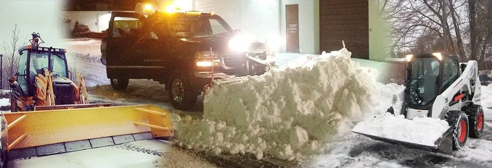 Top-rated yard cleanup service for homes across Morristown, NJ - Outdoor Digs