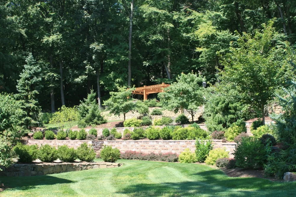Top-rated yard maintenance for beautiful yards across Morristown, NJ - Outdoor Digs